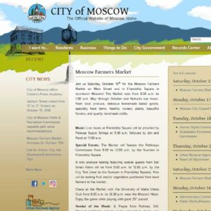 detail of City of Moscow website graphics