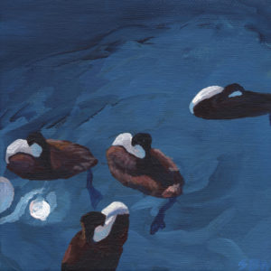 painting of grebes napping