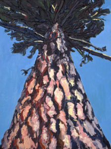 painting of Ponderosa pine tree