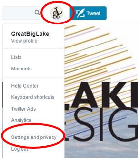 Twitter Great Big Lake Design Settings and Privacy Settings Image