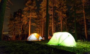 Tents lit from inside in forest at night