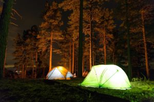 Tents lit from inside in forest at night