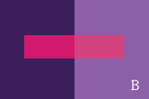 Dark and light purple backgrounds with two different pinks rectangles in front - you can see that they are different shades because they're right next to each other
